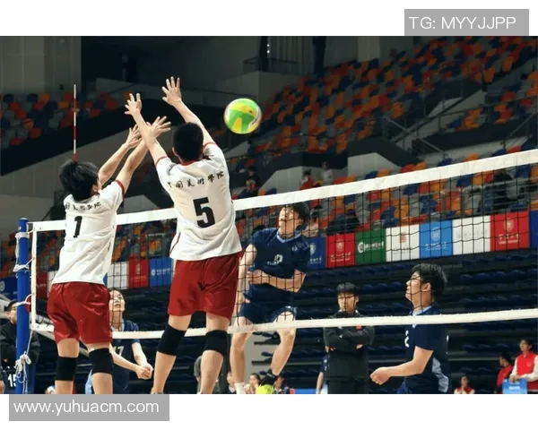 杭州排球队逆袭之路的真实记录与背后故事揭秘